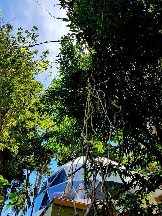 Chira Glamping Resort Monteverde Exterior foto
