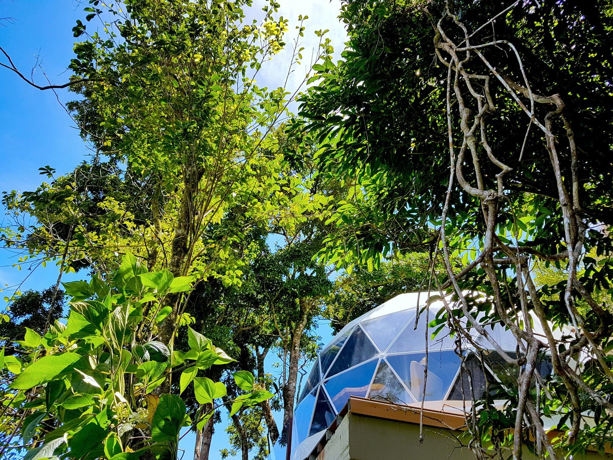 Chira Glamping Resort Monteverde Exterior foto